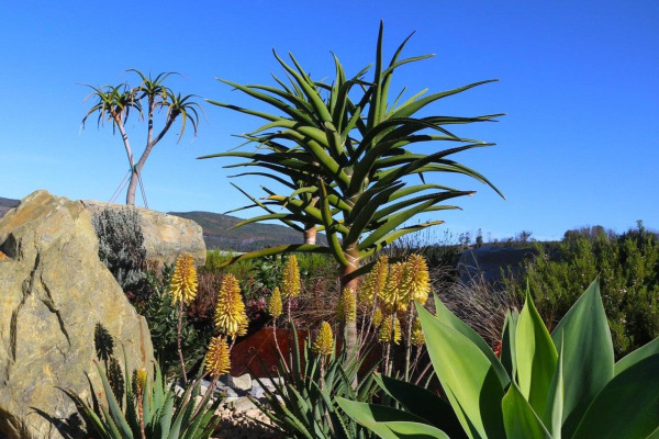 Knysna Lifestyle Estate